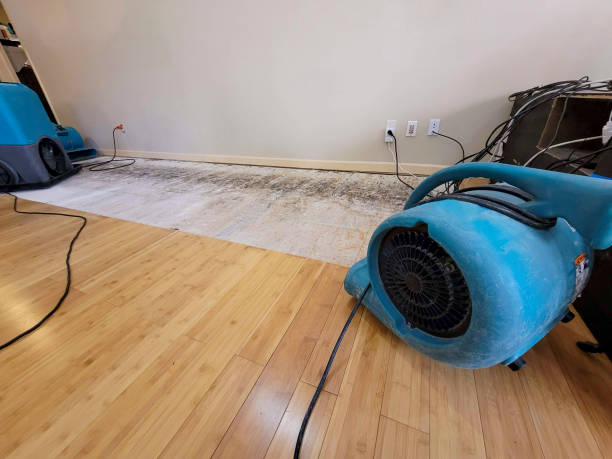 Professional Structural Drying technician working in Camp Hill, AL